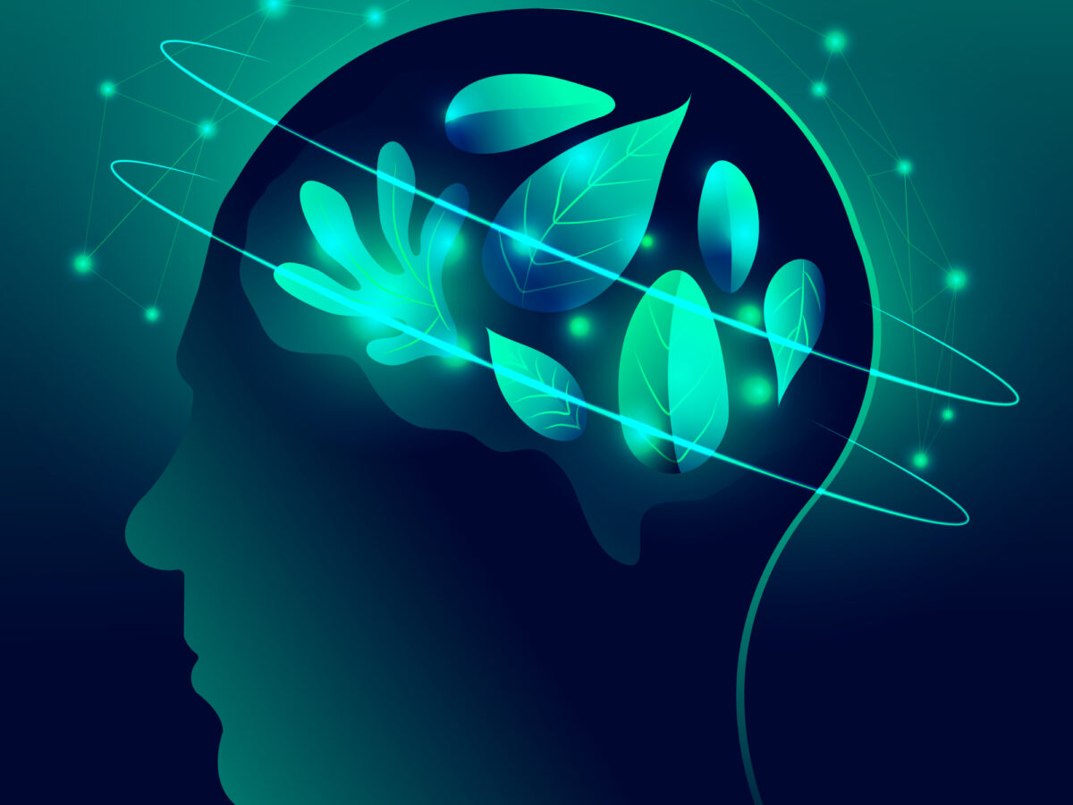 5 Steps To Begin Your Healing Journey